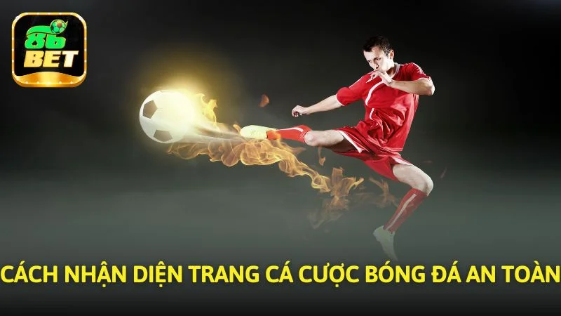 Cách nhận diện trang cá cược bóng đá an toàn