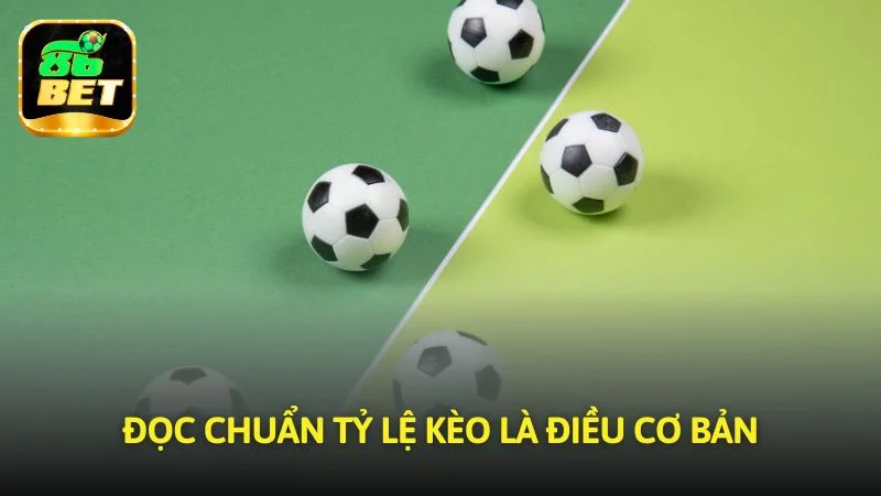 Đọc chuẩn các mức odds là điều cơ bản
