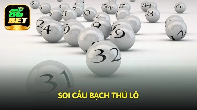 Soi cầu bạch thủ lô