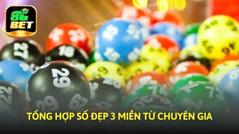 Tổng hợp những lựa chọn đẹp 3 miền từ chuyên gia