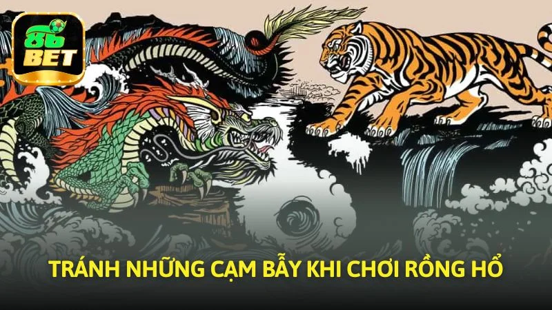 Tránh những cạm bẫy khi tham gia Rồng Hổ